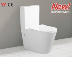 Two piece toilet TT-8300