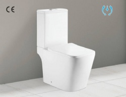 Two Piece Toilet TT-8303B