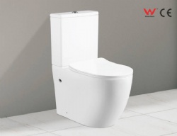 Two Piece Toilet TT-8381
